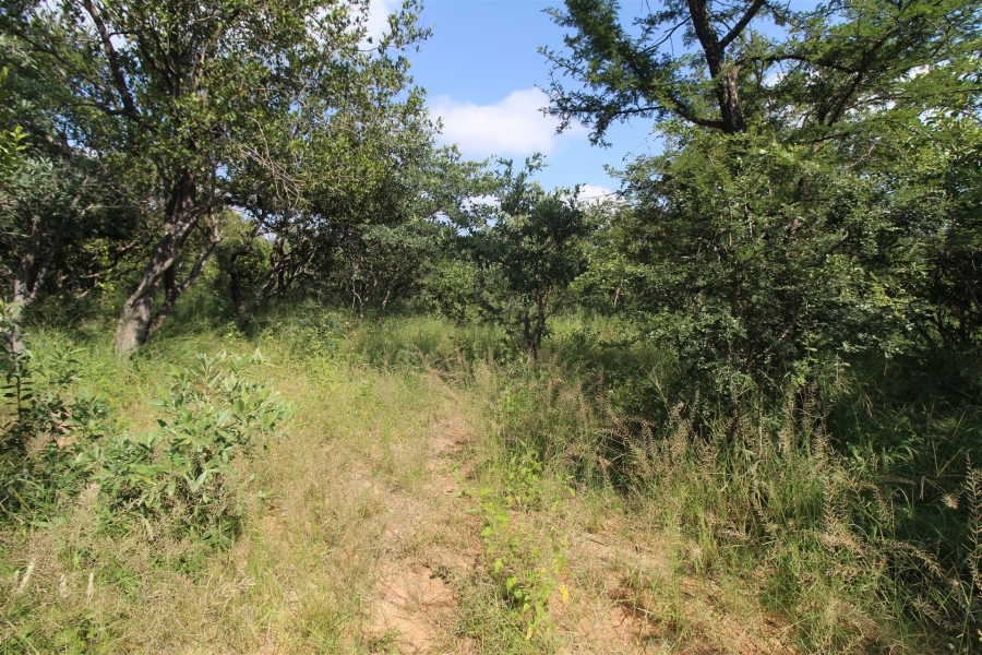 0 Bedroom Property for Sale in Moditlo Wildlife Estate Limpopo