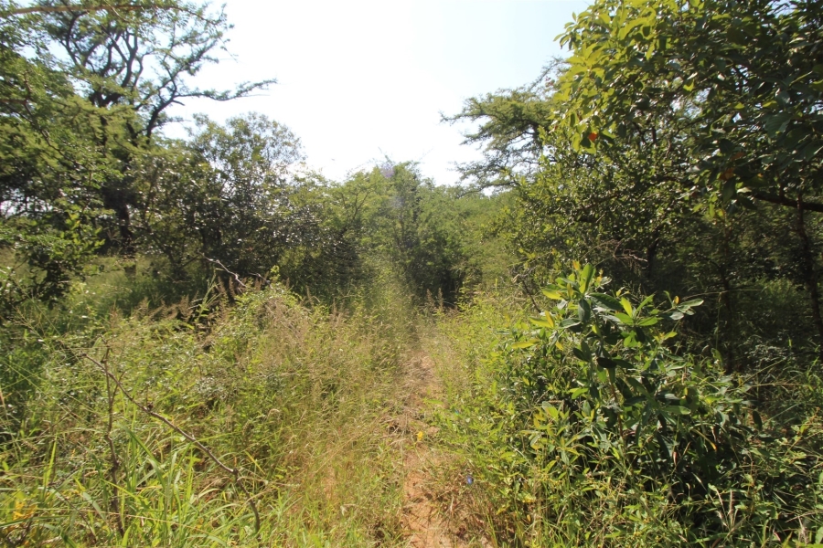 0 Bedroom Property for Sale in Moditlo Wildlife Estate Limpopo