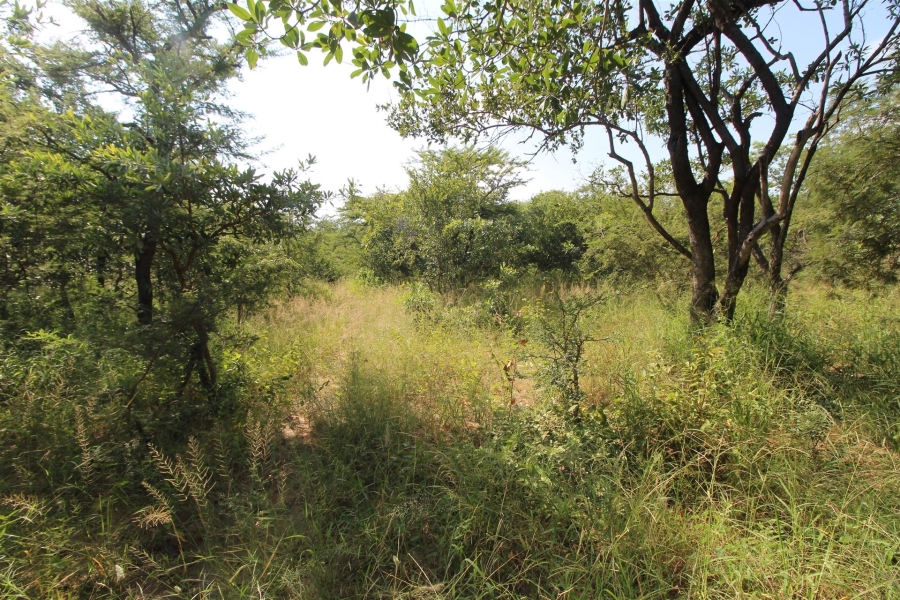 0 Bedroom Property for Sale in Moditlo Wildlife Estate Limpopo