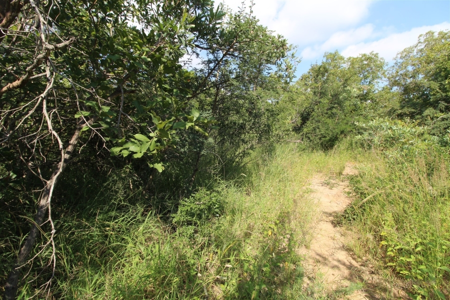 0 Bedroom Property for Sale in Moditlo Wildlife Estate Limpopo