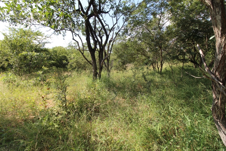 0 Bedroom Property for Sale in Moditlo Wildlife Estate Limpopo