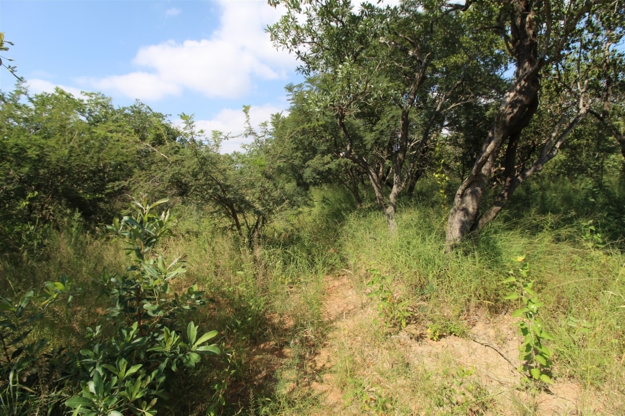 0 Bedroom Property for Sale in Moditlo Wildlife Estate Limpopo