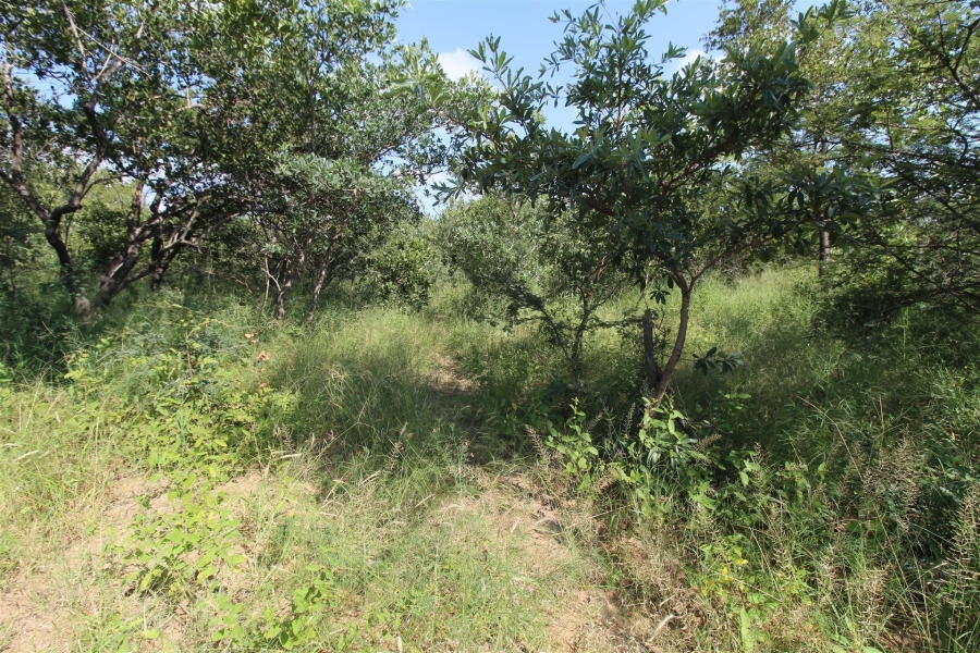 0 Bedroom Property for Sale in Moditlo Wildlife Estate Limpopo