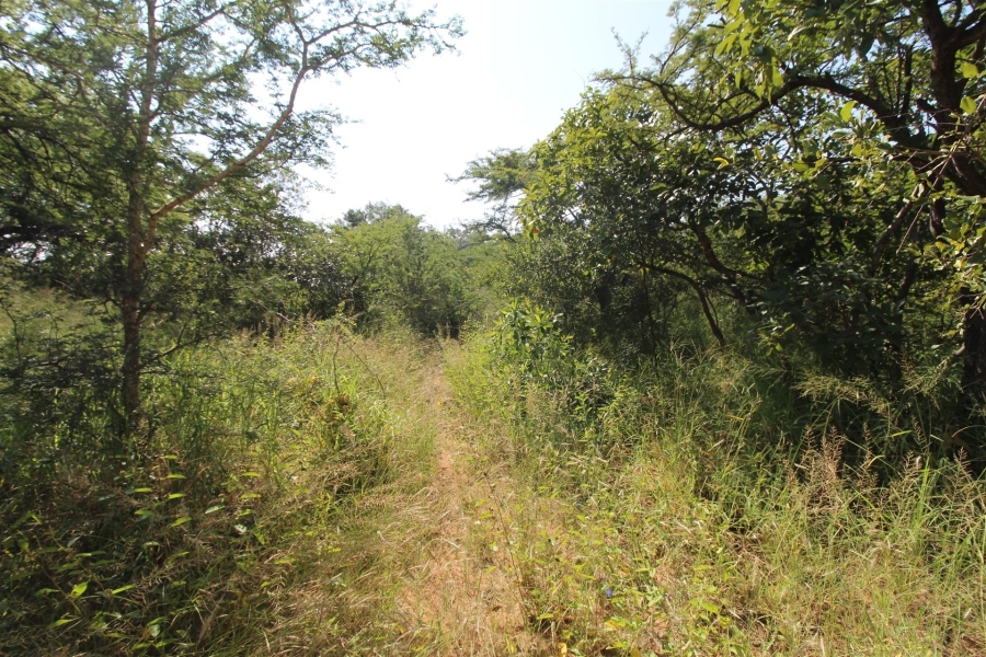0 Bedroom Property for Sale in Moditlo Wildlife Estate Limpopo