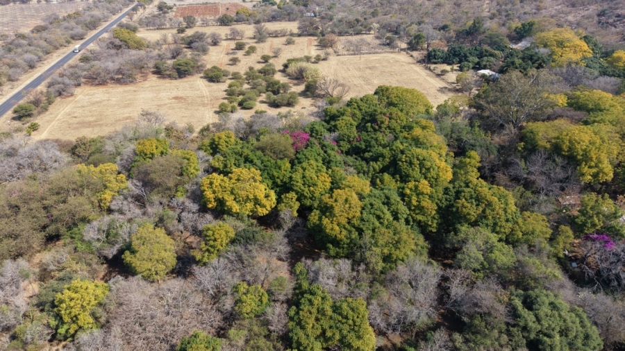 12 Bedroom Property for Sale in Bela Bela Limpopo