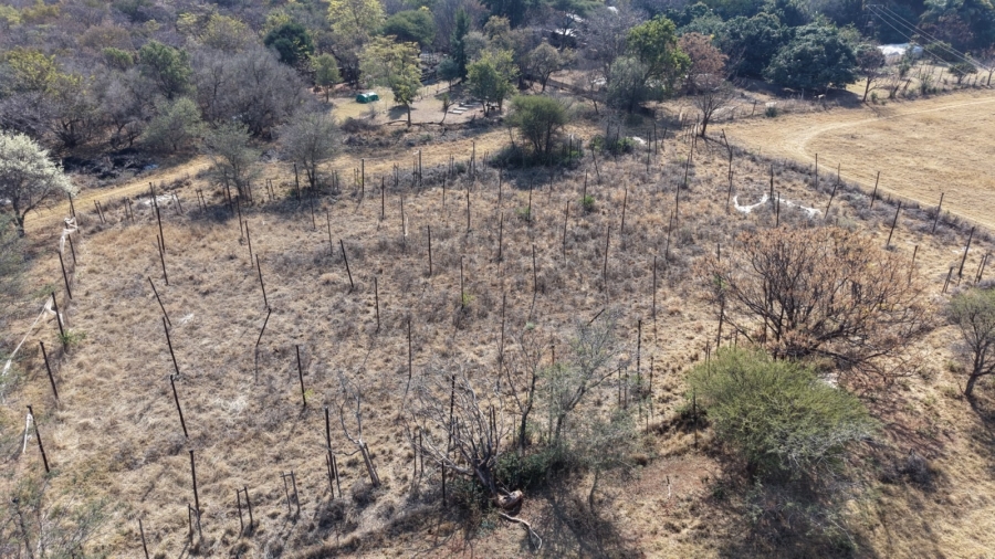 12 Bedroom Property for Sale in Bela Bela Limpopo