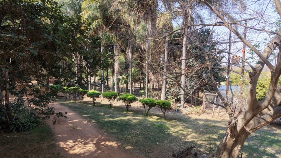 12 Bedroom Property for Sale in Bela Bela Limpopo