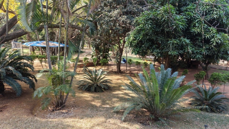 12 Bedroom Property for Sale in Bela Bela Limpopo