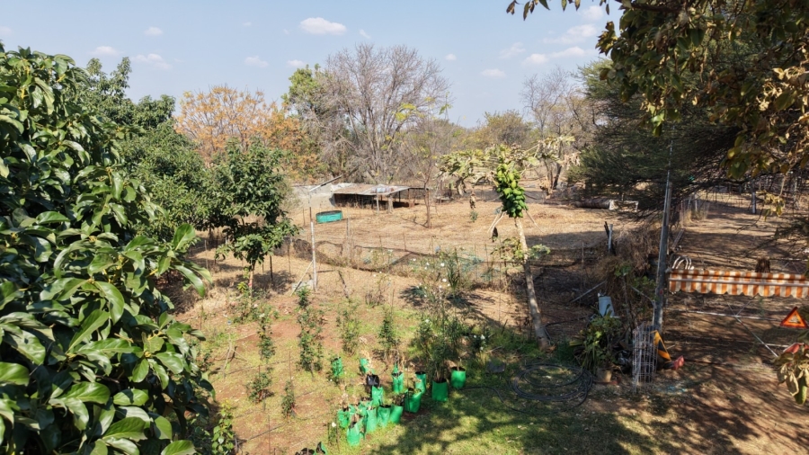 12 Bedroom Property for Sale in Bela Bela Limpopo