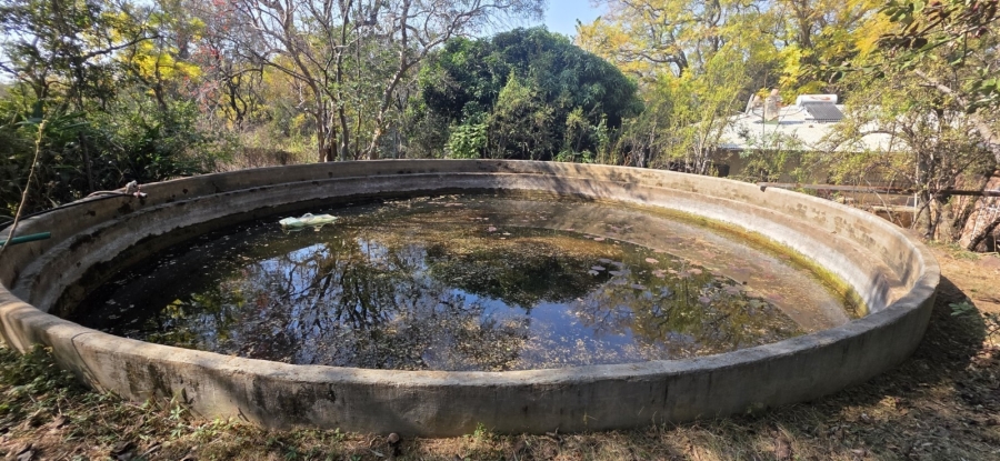 12 Bedroom Property for Sale in Bela Bela Limpopo