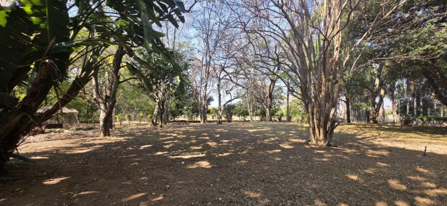 12 Bedroom Property for Sale in Bela Bela Limpopo