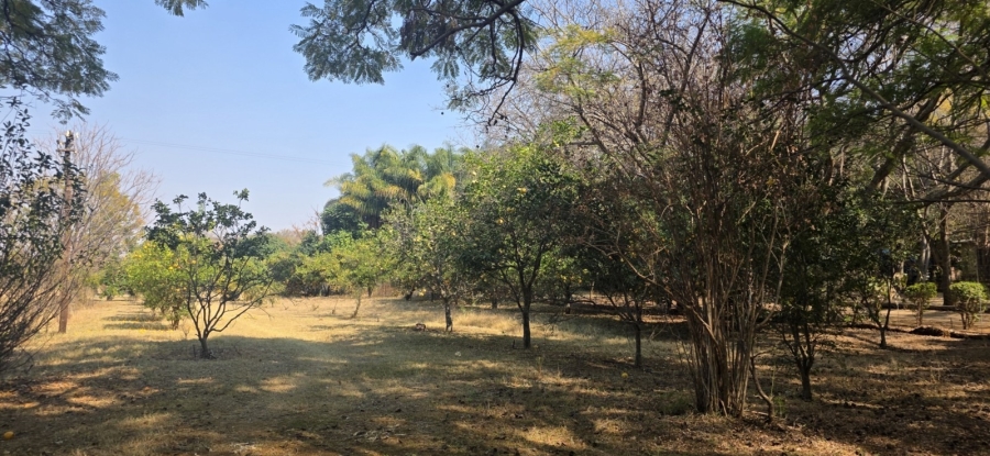 12 Bedroom Property for Sale in Bela Bela Limpopo