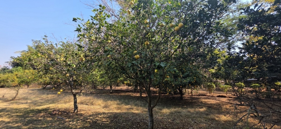 12 Bedroom Property for Sale in Bela Bela Limpopo