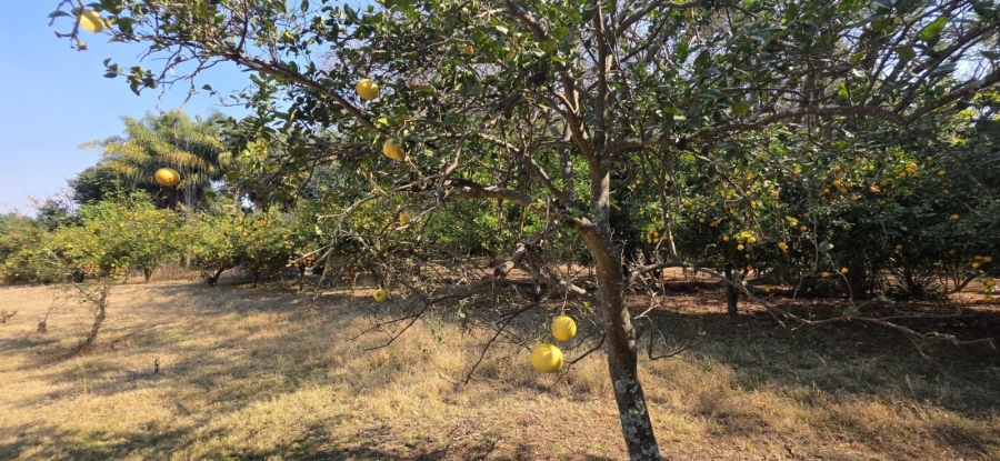 12 Bedroom Property for Sale in Bela Bela Limpopo