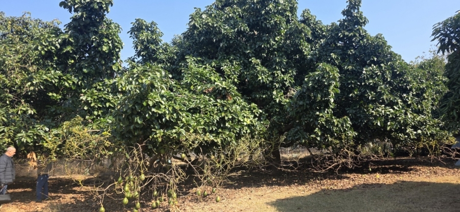 12 Bedroom Property for Sale in Bela Bela Limpopo