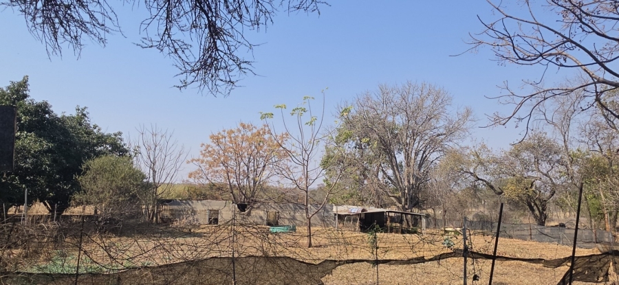 12 Bedroom Property for Sale in Bela Bela Limpopo