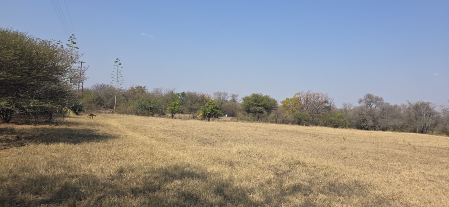 12 Bedroom Property for Sale in Bela Bela Limpopo