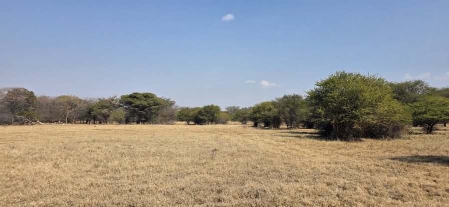 12 Bedroom Property for Sale in Bela Bela Limpopo