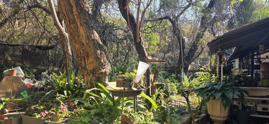 12 Bedroom Property for Sale in Bela Bela Limpopo