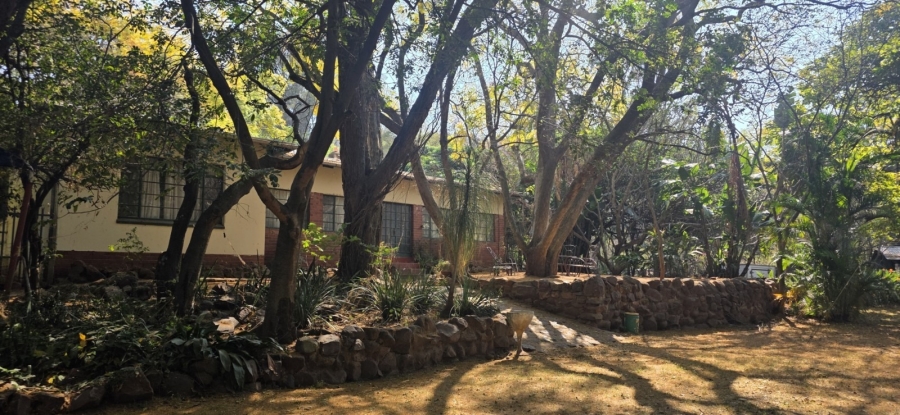 12 Bedroom Property for Sale in Bela Bela Limpopo