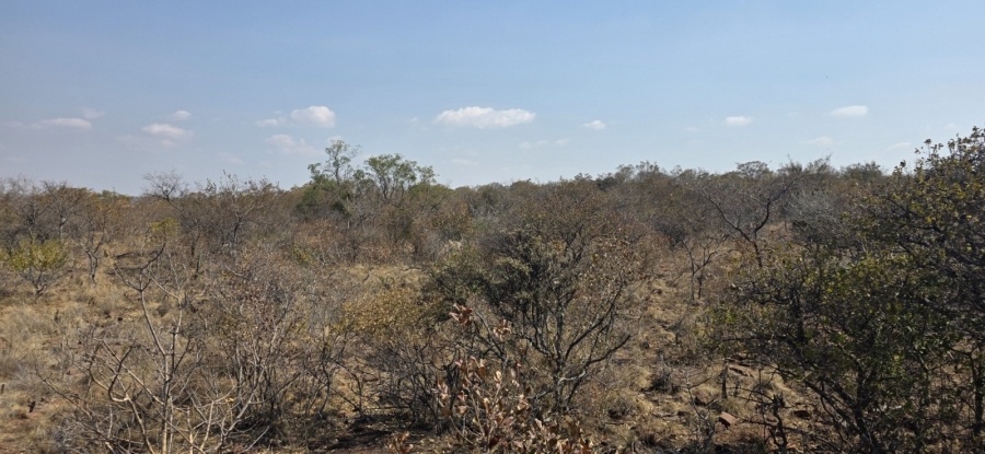 12 Bedroom Property for Sale in Bela Bela Limpopo