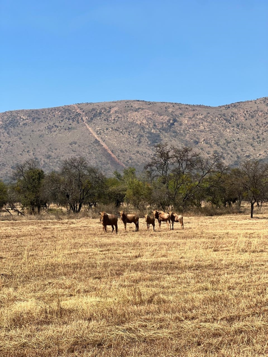 4 Bedroom Property for Sale in Mokopane Rural Limpopo