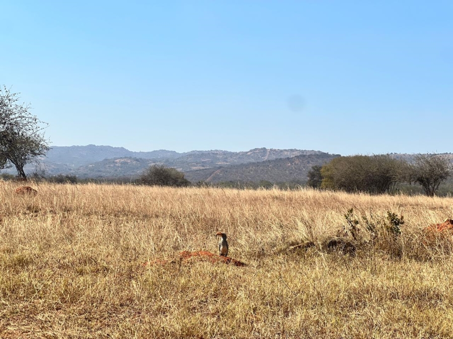 4 Bedroom Property for Sale in Mokopane Rural Limpopo