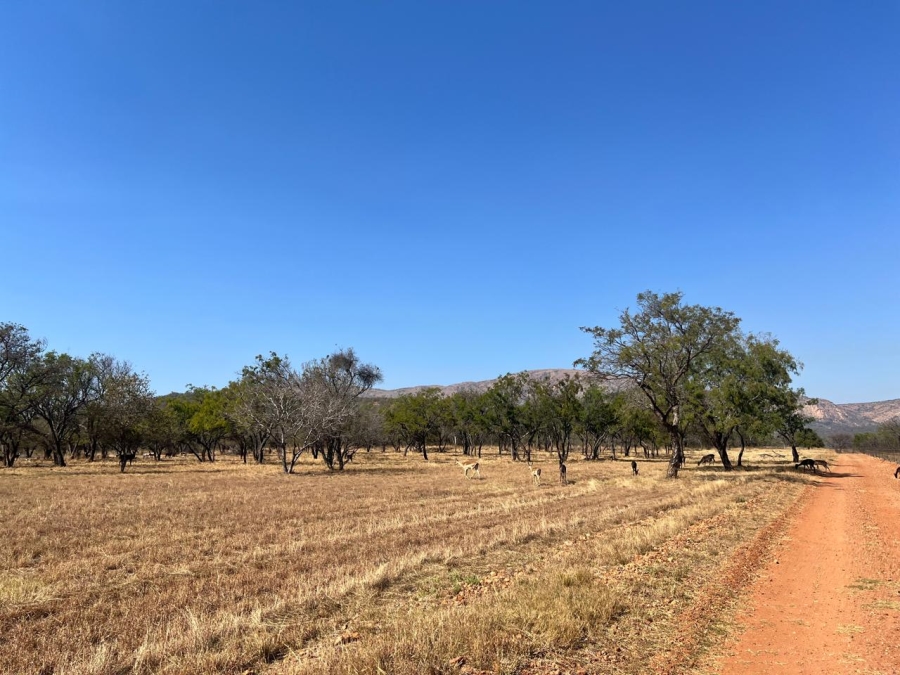 4 Bedroom Property for Sale in Mokopane Rural Limpopo
