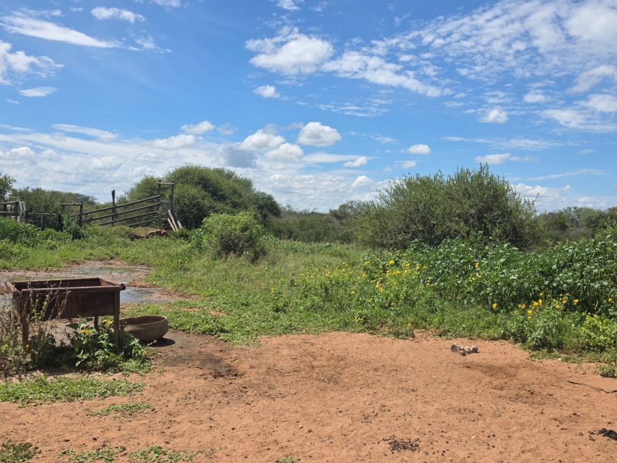 0 Bedroom Property for Sale in Tom Burke Limpopo
