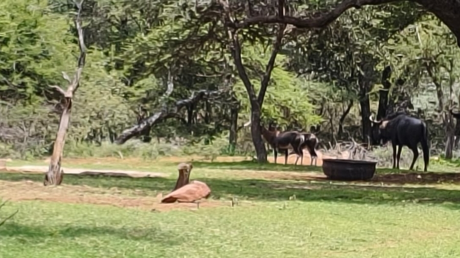 3 Bedroom Property for Sale in Intaba Indle Wilderness Estate Limpopo