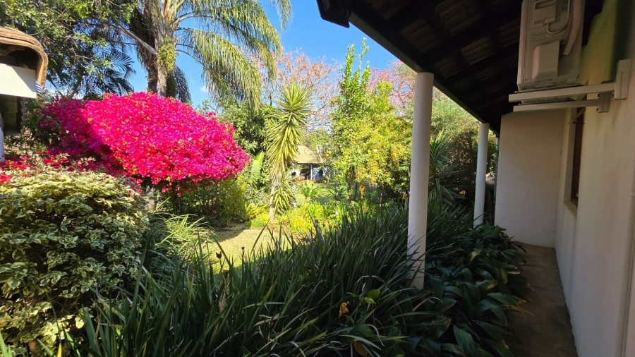 To Let 3 Bedroom Property for Rent in Bela Bela Limpopo