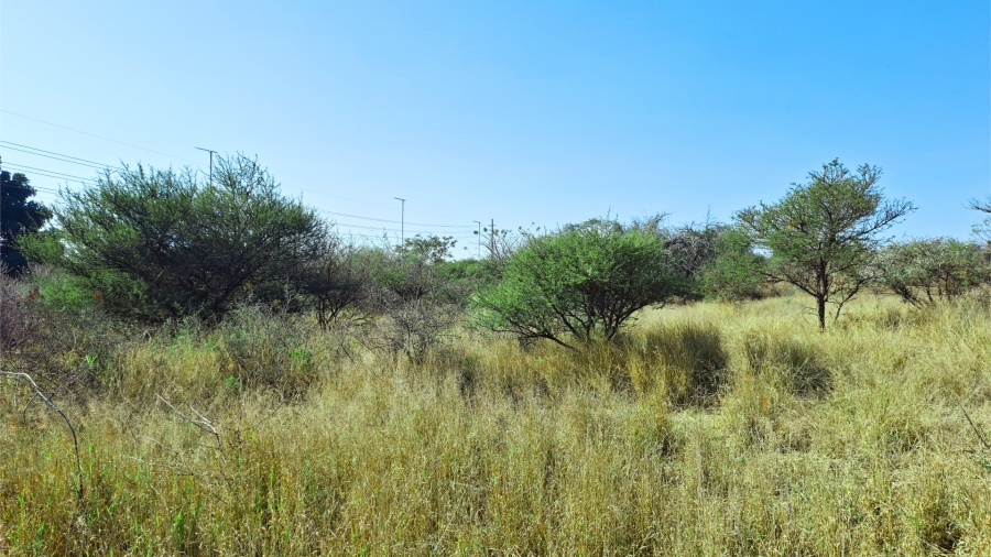Commercial Property for Sale in Bendor Limpopo