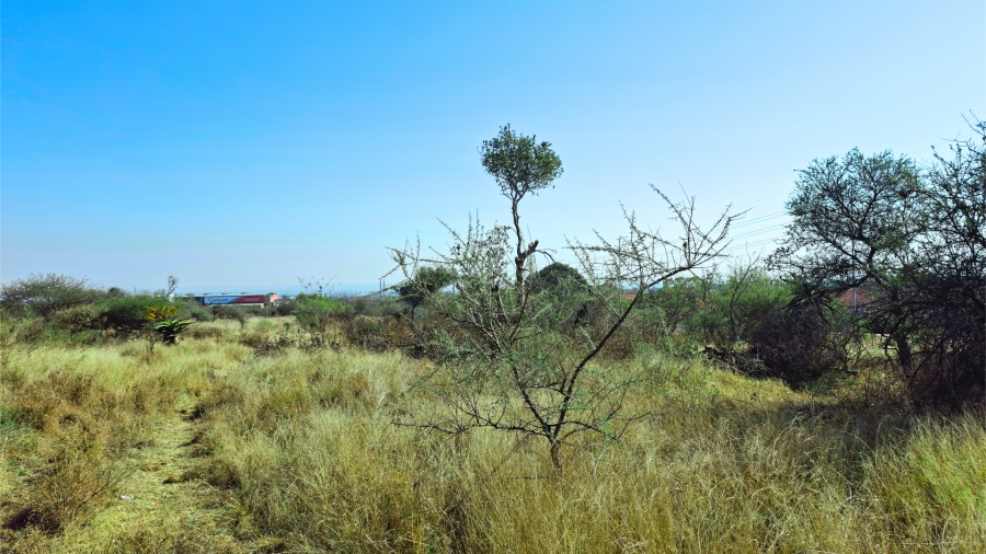 Commercial Property for Sale in Bendor Limpopo