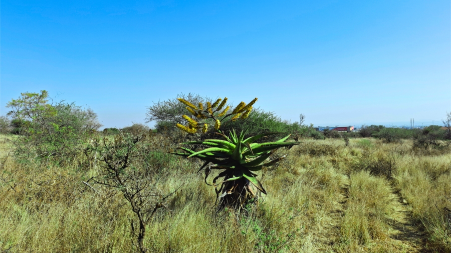 Commercial Property for Sale in Bendor Limpopo