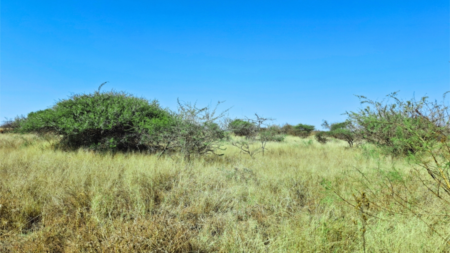 Commercial Property for Sale in Bendor Limpopo