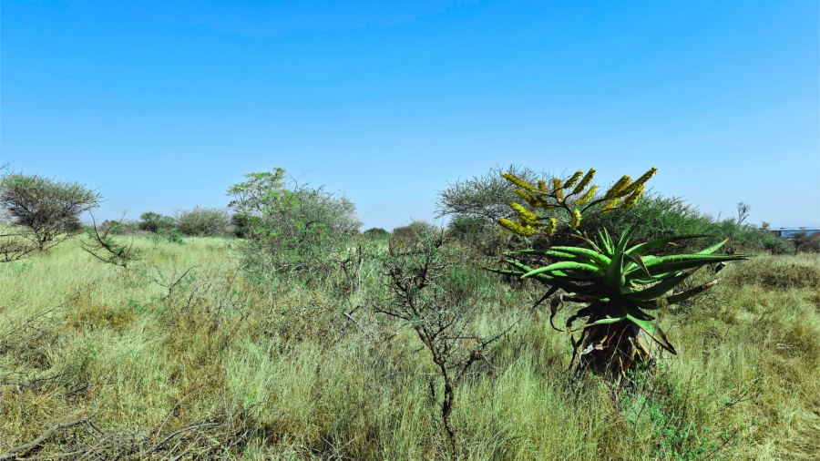 Commercial Property for Sale in Bendor Limpopo