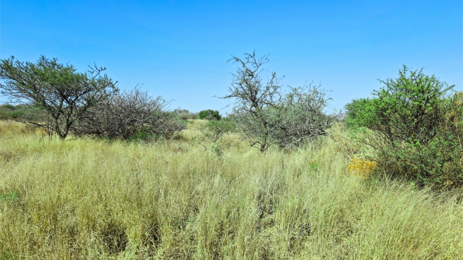 Commercial Property for Sale in Bendor Limpopo