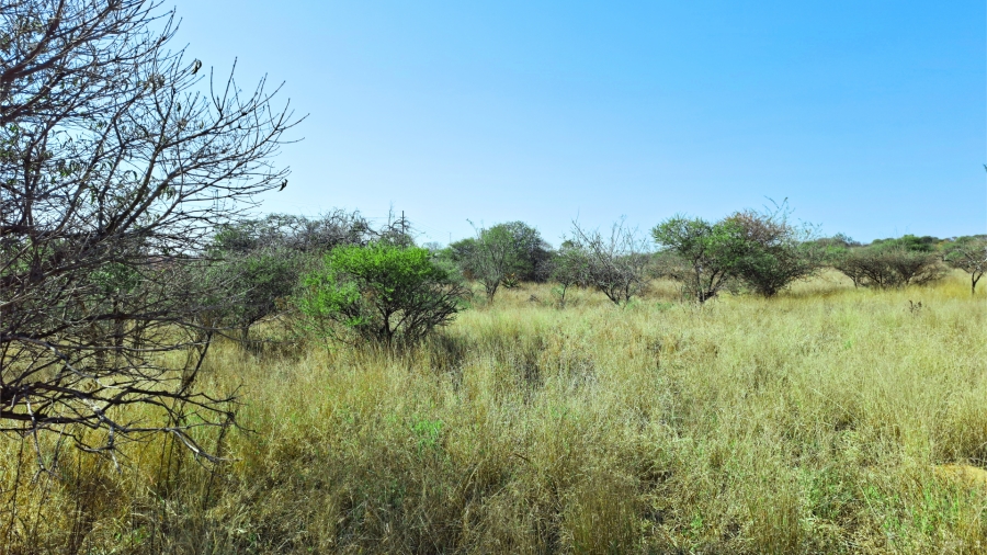 Commercial Property for Sale in Bendor Limpopo