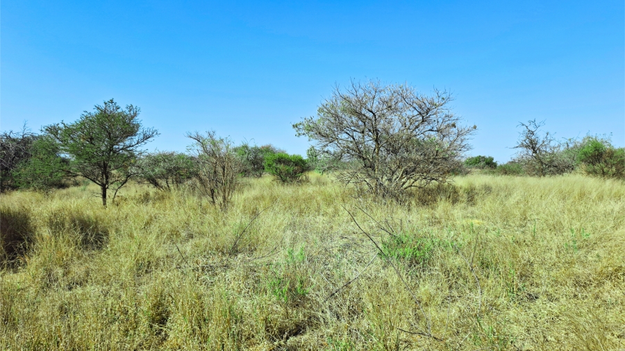 Commercial Property for Sale in Bendor Limpopo