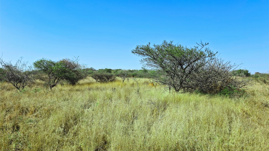 Commercial Property for Sale in Bendor Limpopo