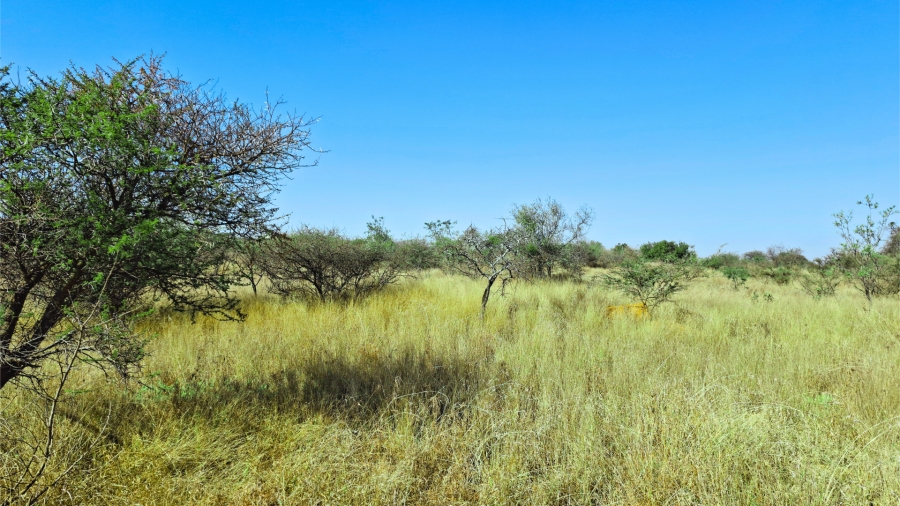 Commercial Property for Sale in Bendor Limpopo