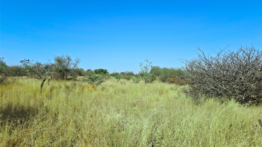 Commercial Property for Sale in Bendor Limpopo