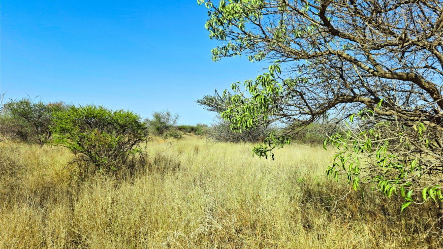 Commercial Property for Sale in Bendor Limpopo