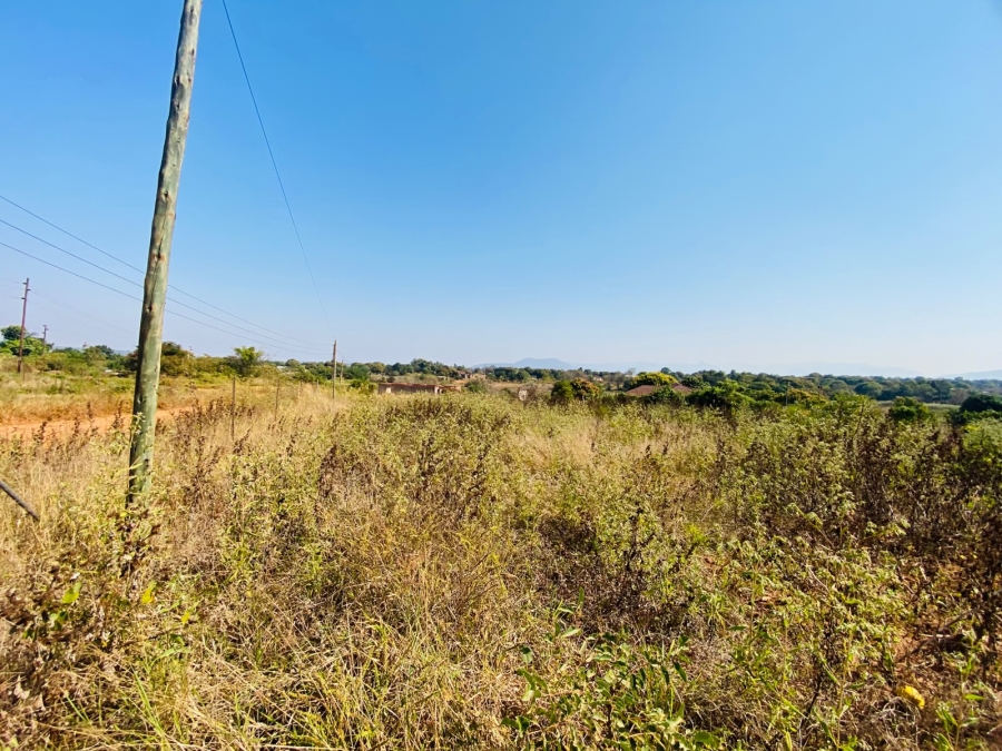 0 Bedroom Property for Sale in Muledane Limpopo