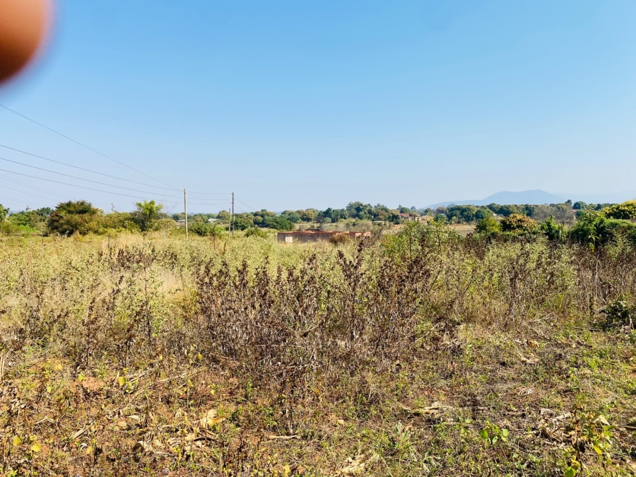 0 Bedroom Property for Sale in Muledane Limpopo