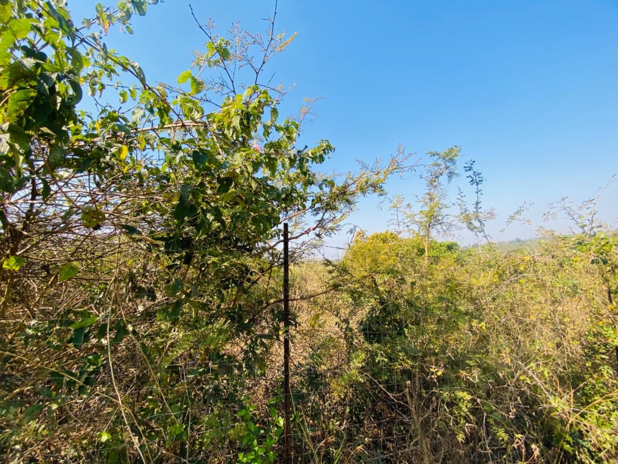 0 Bedroom Property for Sale in Muledane Limpopo