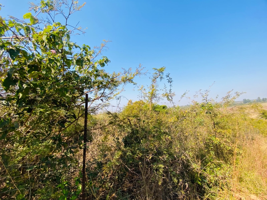 0 Bedroom Property for Sale in Muledane Limpopo