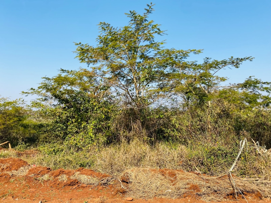 0 Bedroom Property for Sale in Muledane Limpopo