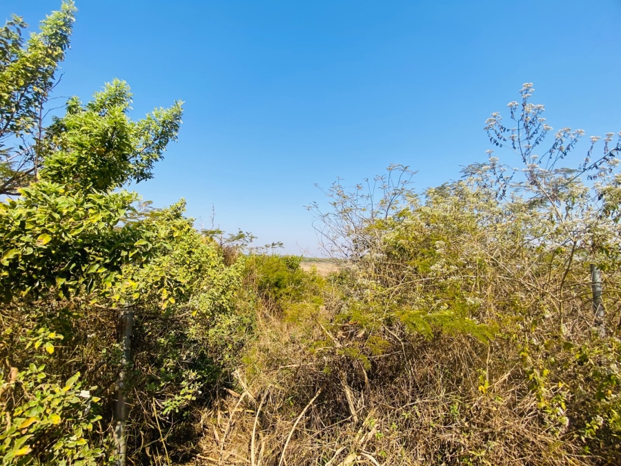 0 Bedroom Property for Sale in Muledane Limpopo