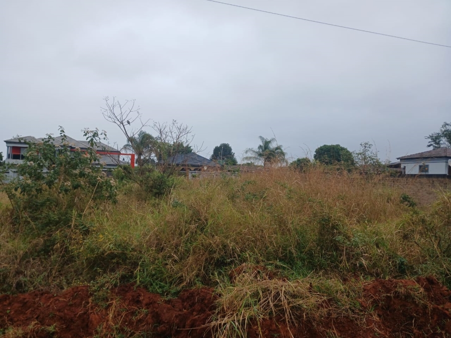 0 Bedroom Property for Sale in Muledane Limpopo